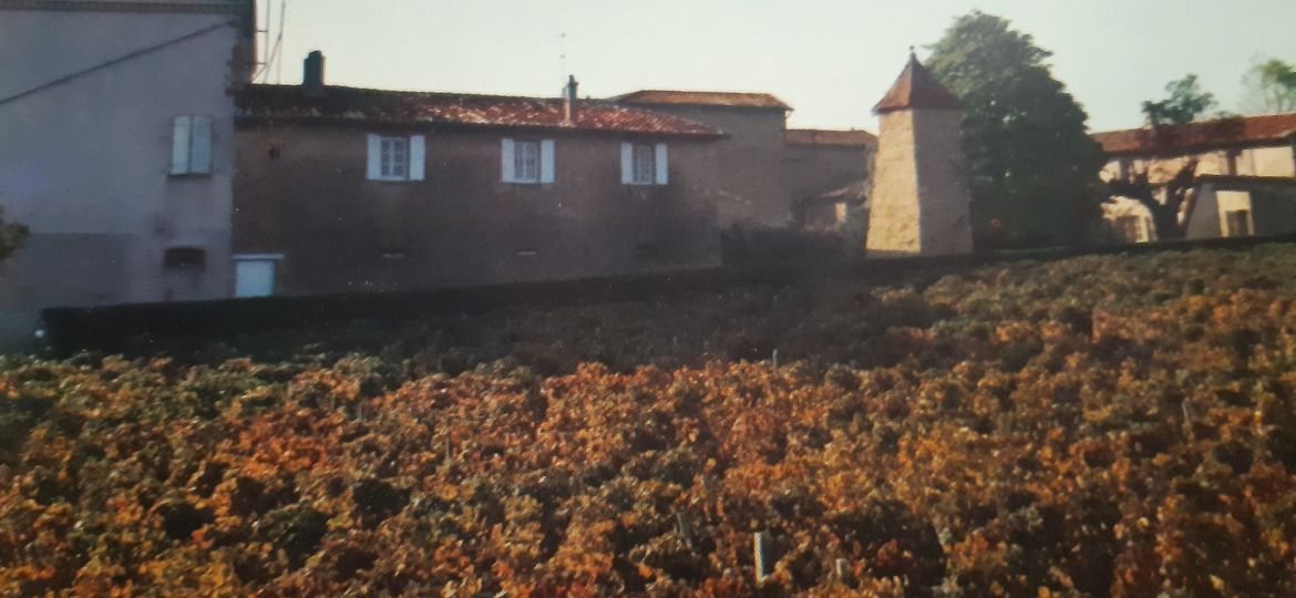 1 la maison natale et la maison de maître